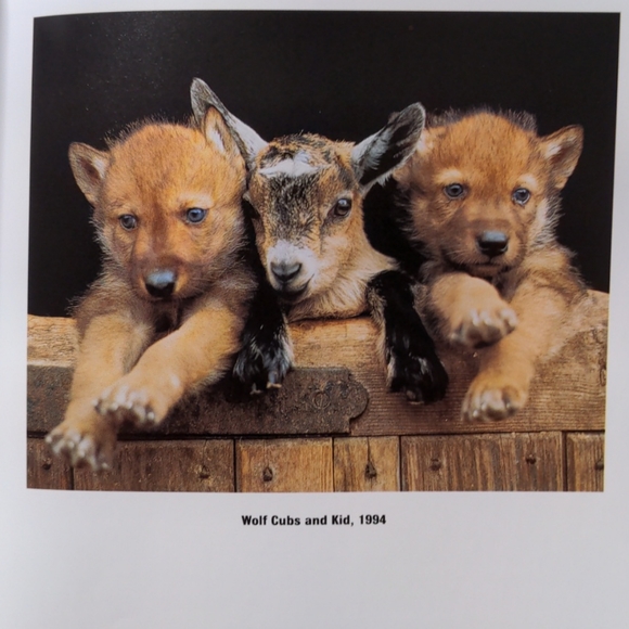 🌷🐕FREE in $25+ Bundle🐶 Book "My Love Unleashed" - Picture 5 of 9